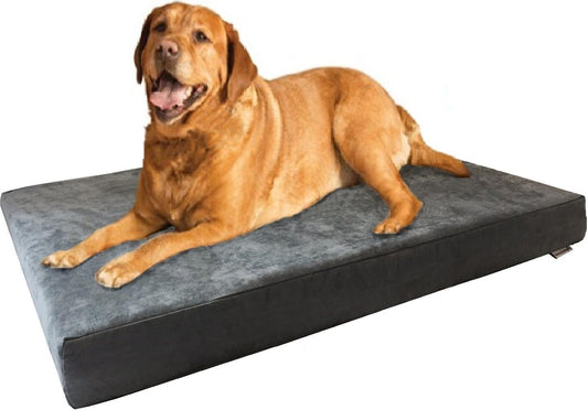 XL Orthopedic Memory Foam Dog Bed with Machine Washable Cover and Waterproof Lining, Designed for Medium to Large Pets, 47" x 29" x 4" Pad for 48" x 30" Crate Compatibility