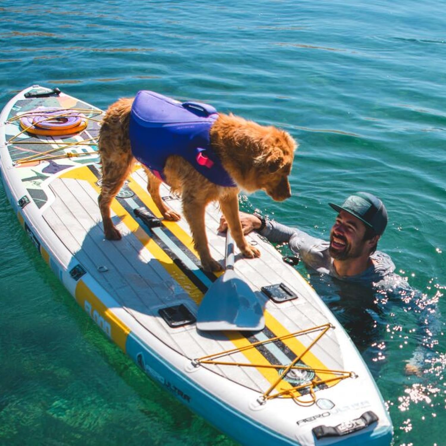 Float Coat Dog Life Jacket - Premium Buoyancy Swim Vest with Lift Handle, Secure Fit, Reflective Trim, and Adjustable Flotation for Swimming, Boating, and Outdoor Activities - Deep Blue, Small