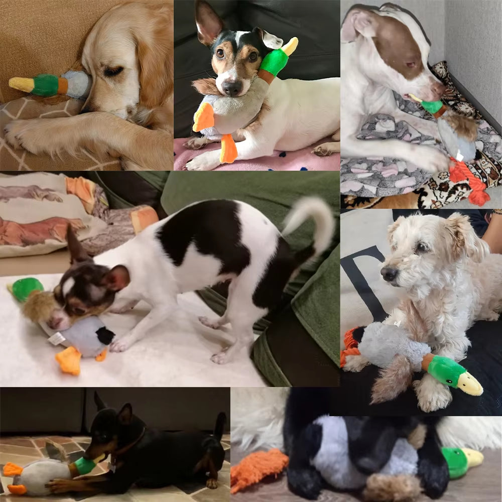 Plush Duck Squeaky Dog Toy with Chew Rope - Pet Dental Care Accessory