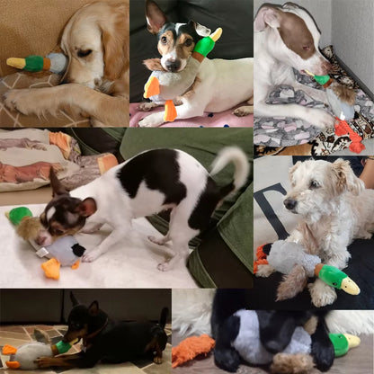 Plush Duck Squeaky Dog Toy with Chew Rope - Pet Dental Care Accessory